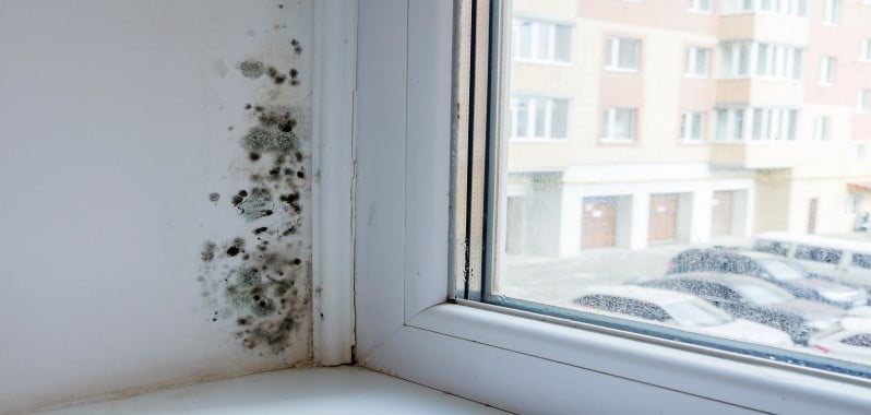 Riesgos de dormir en una habitación con humedad