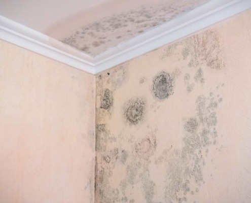 Cómo prevenir y eliminar la humedad de las paredes