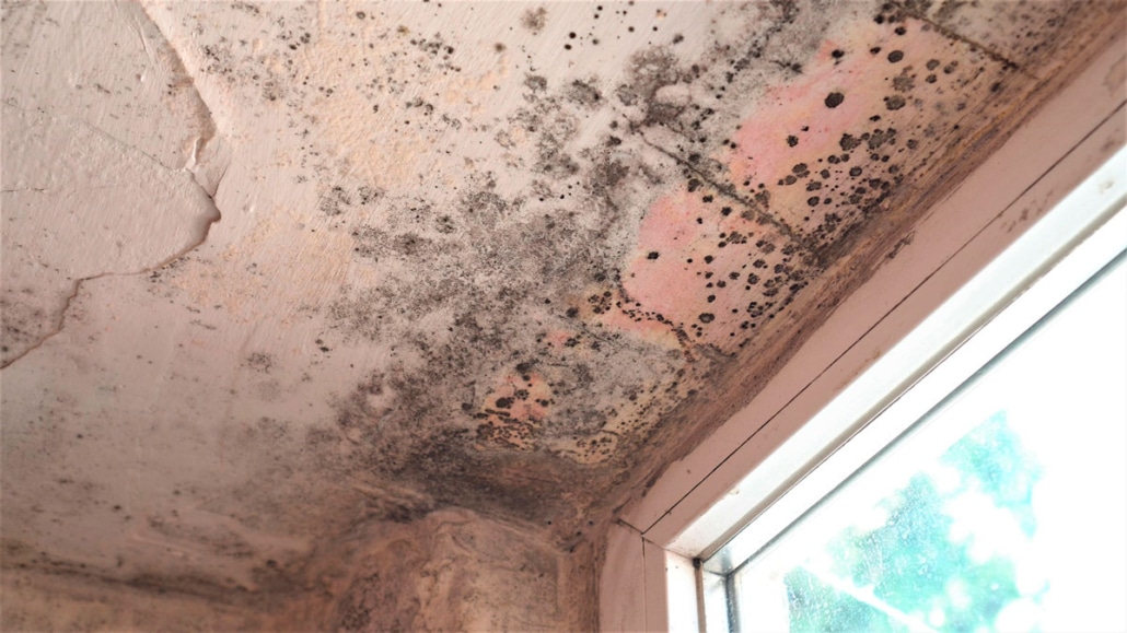 Cómo resolver los problemas de humedad en paredes y techos? – The Home  Depot Blog