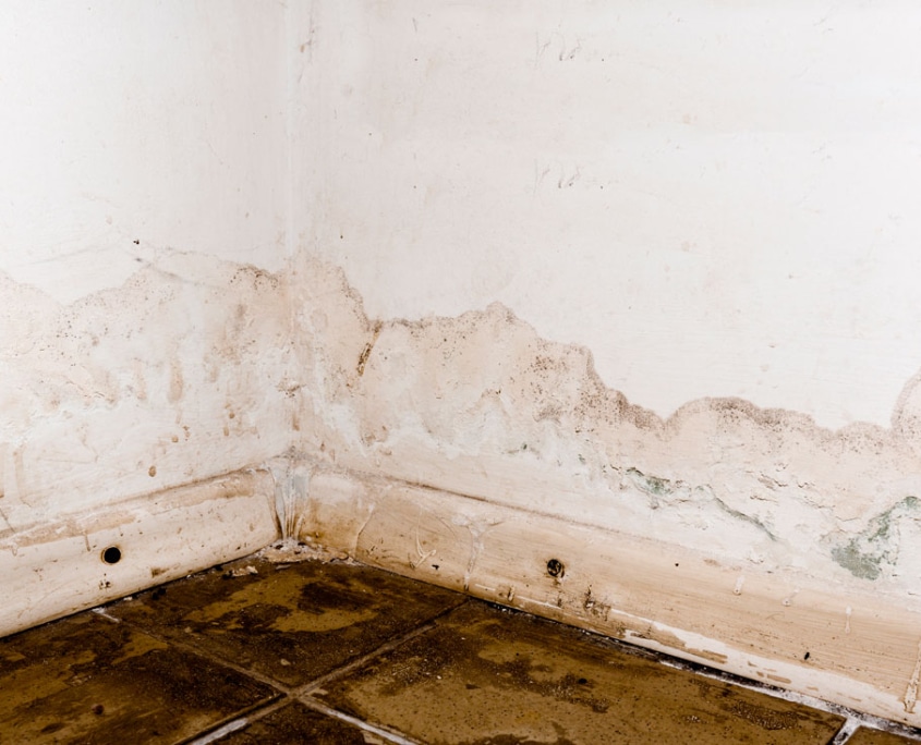 Qué es la humedad en las paredes, que tipos hay y cómo evitarlas