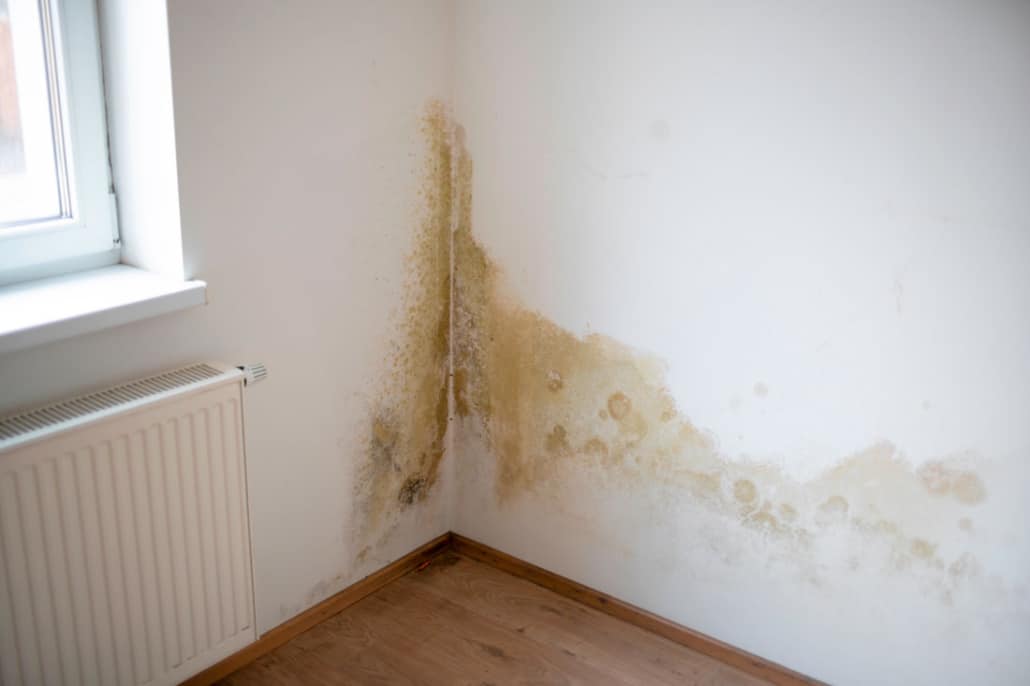 Cómo quitar manchas de humedad en la pared - Eliminar Humedades