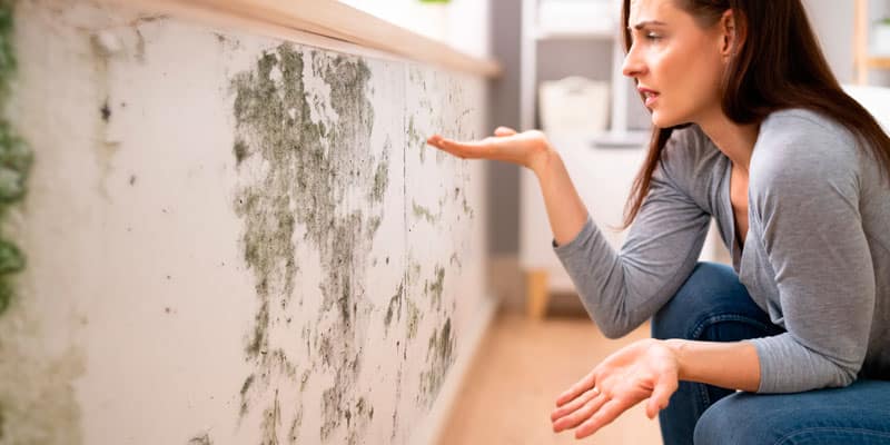 Tipos de humedades: cómo identificar y eliminar la humedad en paredes