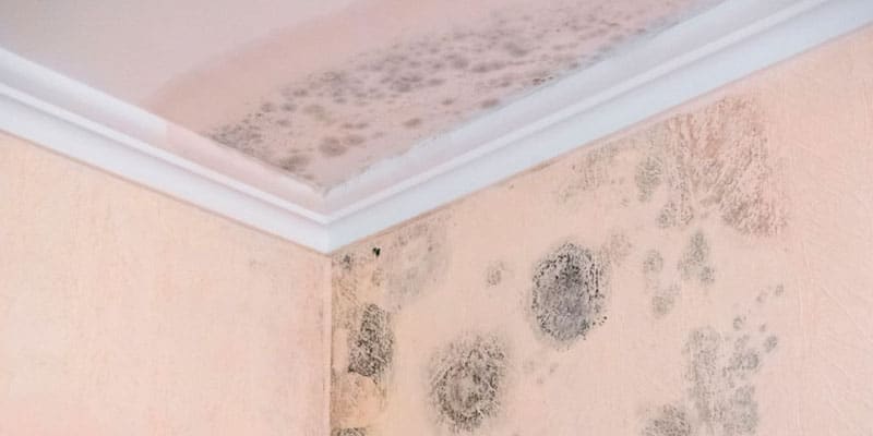 Las paredes de tu casa tienen humedad? Necesitas conocer su origen