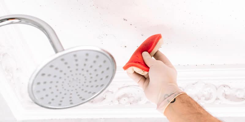 Cómo quitar el moho del techo del baño con facilidad - Eliminar